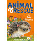 Animal Rescue : The Baby Hedgehog by ''Tina Nolan''